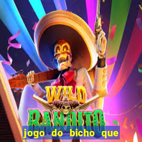 jogo do bicho que paga no pix